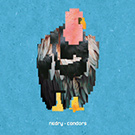 Condors Condors