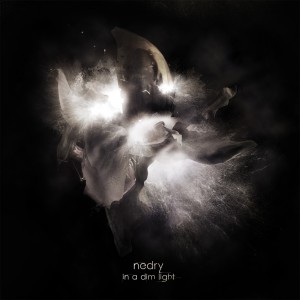 Nedry album cover